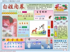白小姐内幕A
